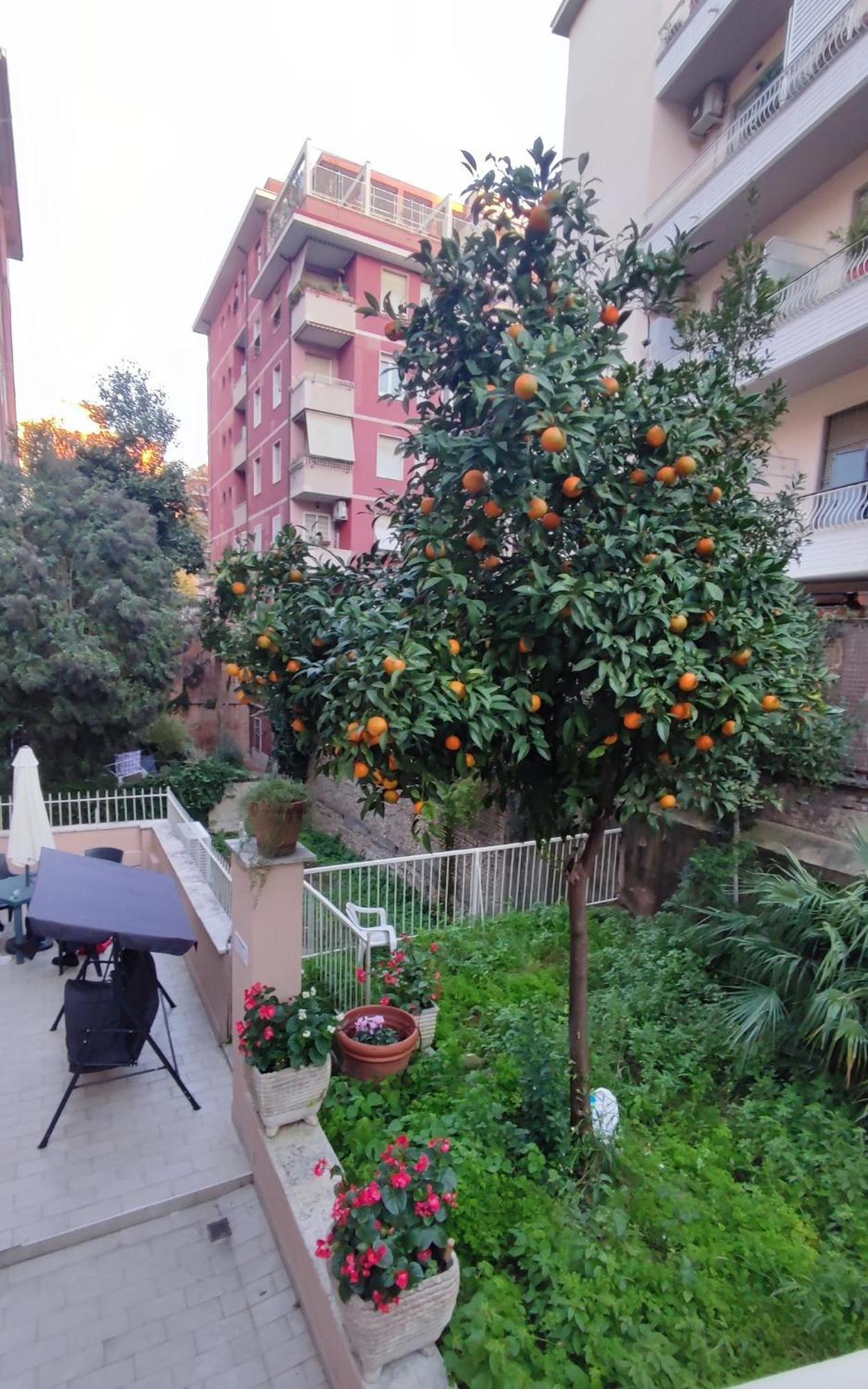 Vatican Green Garden Roma Exterior foto
